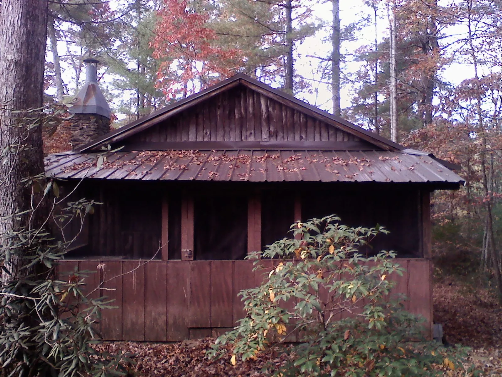 Metal roof over the screened porch of a rustic cabin in Dixon